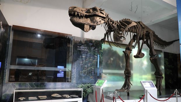 Museum Geologi