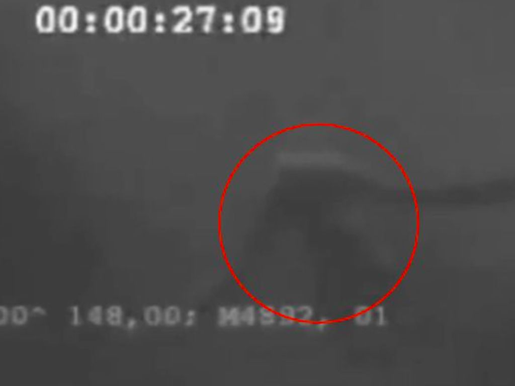 Antartika Jadi Tempat Hidup Monster Misterius Ningen? Antartika Jadi Tempat Hidup Monster Misterius Ningen?