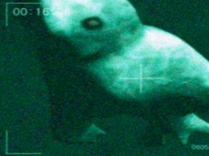 Ningen, Duyung Ciptaan Ilmuwan Jepang yang Kini Jadi Misteri Ningen, Duyung Ciptaan Ilmuwan Jepang yang Kini Jadi Misteri