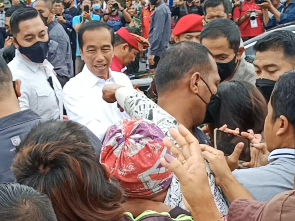 Wacana Jabatan Gubernur Dihapus, Jokowi: Apakah Bisa Lebih Efisien