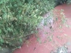 Waduh! Air Sungai Sumurboto Blora Memerah