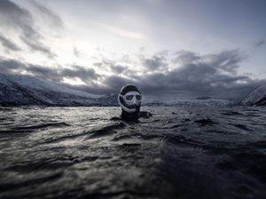 Aksi Gokil Penyelam Menari Bersama Paus Pembunuh di Perairan Es Norwegia