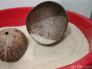Mengenal Batok Eter, Alat Tradisional Penakar Beras yang Kini Hilang Mengenal Batok Eter, Alat Tradisional Penakar Beras yang Kini Hilang