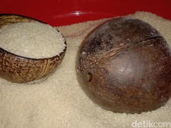 Bentuk dan Fungsi Batok Eter, Penakar Beras Tradisional Warga Indramayu