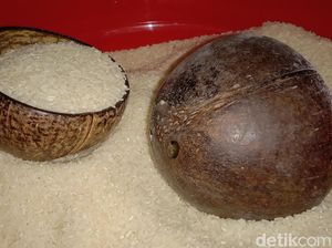 Bentuk dan Fungsi Batok Eter, Penakar Beras Tradisional Warga Indramayu Bentuk dan Fungsi Batok Eter, Penakar Beras Tradisional Warga Indramayu