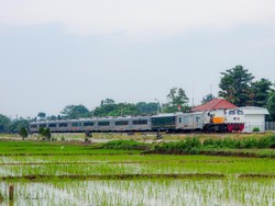 Catat Jadwal Operasi KA Panoramic Saat Beroperasi Februari 2023