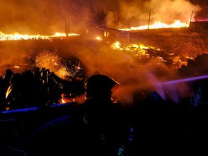 Penampakan Kobaran Api Lalap Hutan di Chili