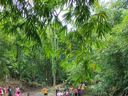 Pria Paruh Baya di Bima yang Hilang Terseret Banjir Ditemukan Meninggal