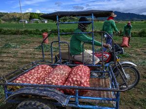 Bawang Jadi Barang Mewah di Filipina, Harganya Lebih Mahal dari Ayam