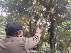 Pria yang Coba Gantung Diri di Polsek Gubeng Diperiksa, Kondisinya Labil Pria yang Coba Gantung Diri di Polsek Gubeng Diperiksa, Kondisinya Labil