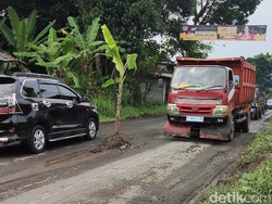Heboh Jalan Rusak Ditanami Pohon Pisang di Tempel Sleman, Ini Respons PU