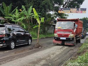 Heboh Jalan Rusak Ditanami Pohon Pisang di Tempel Sleman, Ini Respons PU Heboh Jalan Rusak Ditanami Pohon Pisang di Tempel Sleman, Ini Respons PU
