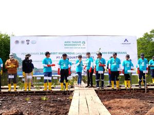 Selamatkan Lingkungan dengan Tanam 30.000 Bibit Mangrove
