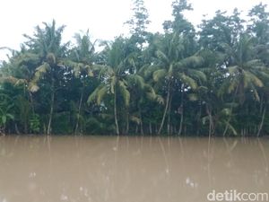 Tanggul Sungai Birin Jebol Bikin Sawah-Permukiman di Wedi Klaten Terendam