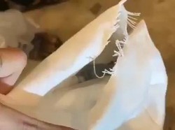 Pengunjung Cap Go Meh di Palembang Ngaku Kecopetan, Polisi Selidiki