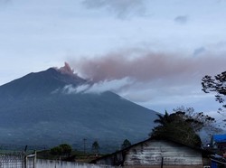 Puluhan Hektare Lahan Pertanian Terpapar Abu Vulkanik Gunung Kerinci