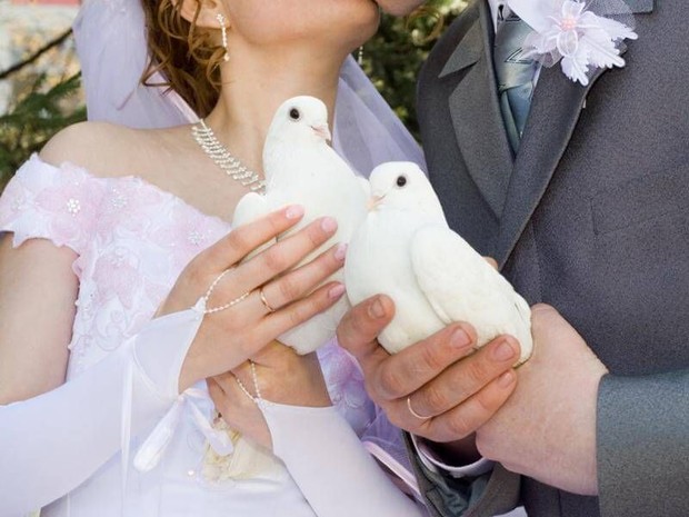 Ilustrasi merpati di pernikahan/Foto: gettyimages.com/Chung Sung-Jun Dianggap sebagai burung yang melambangkan cinta dan perdamaian, merpati juga merupakan simbol cinta sejati/Foto: gettyimages.com/Chung Sung-Jun
