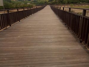 Melihat Komodo dari Jalan Jerambah Melihat Komodo dari Jalan Jerambah