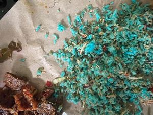 Lagi Asik Makan Nasi Campur, Wanita Ini Baru Sadar Nasinya Penuh Staples Lagi Asik Makan Nasi Campur, Wanita Ini Baru Sadar Nasinya Penuh Staples