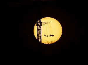 Siluet Lanskap Paling Ciamik di Awal Tahun 2023