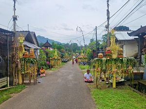Aci Gedebong di Desa Adat Ngis, Wujud Syukur Kepada Alam Semesta