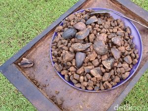 Minyak Tengkawang Jadi Bukti Kekayaan Alam Kalimantan Barat yang Luar Biasa