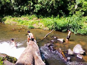Menjajal Wisata Curug Layung di KBB, Harga Tiket hingga Rutenya Menjajal Wisata Curug Layung di KBB, Harga Tiket hingga Rutenya