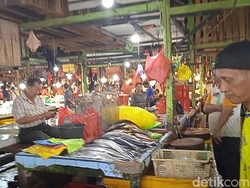 Melihat Aneka Ikan di Pasar Flamboyan Pontianak