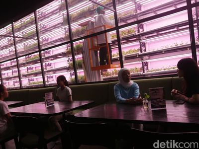 Pertanian Ruang Tertutup Ini Ada di Dalam Kafe Lho, Penasaran?