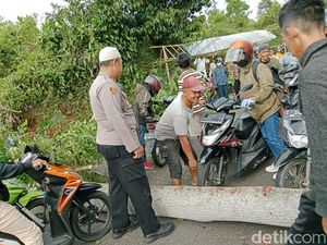Pohon Besar Tumbang, Lalin Jalur Wisata di Purwakarta Tersendat Pohon Besar Tumbang, Lalin Jalur Wisata di Purwakarta Tersendat