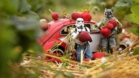 Stormtrooper Star Wars Ini Hobinya Belanja Sayur dan Minum Jus
