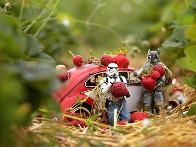 Stormtrooper Star Wars Ini Hobinya Belanja Sayur dan Minum Jus
