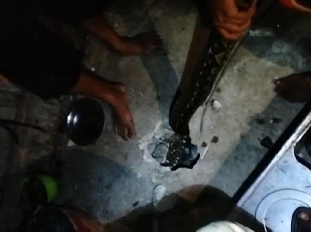 Ular Sanca 5 Meter Masuk Rumah Warga di Sinjai, Damkar Evakuasi