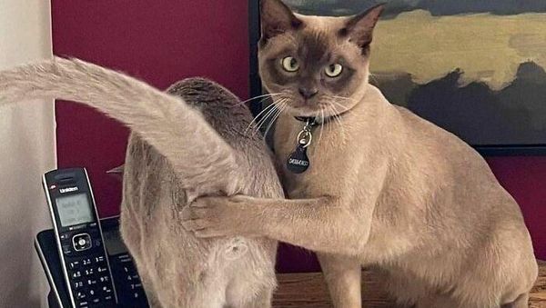 10 Foto Kocak yang Bikin Kalian Ngakak