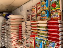 Harga Beras di Bali Naik