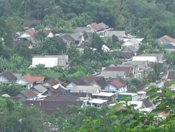 Gunung Semeru Erupsi, Dua Kecamatan di Lumajang Diguyur Hujan Abu Vulkanik