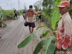 Kesal, Warga Tanam Pohon Pisang di Lubang-lubang Jalan Alternatif Pati