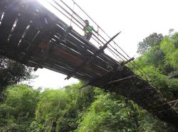 Berita Dan Informasi Jembatan Penghubung Rusak Terkini Dan Terbaru Hari