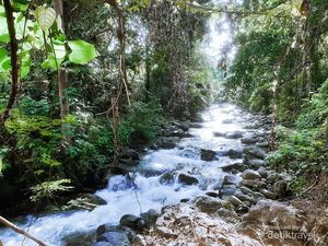 Kesejukan Alami dari Pulau Bacan, Tak Ada di Kota Besar