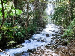 Kesejukan Alami dari Pulau Bacan, Tak Ada di Kota Besar