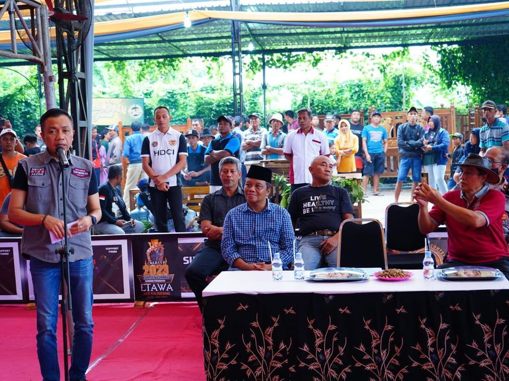 Buka Kontes Kambing Etawa, Wabup Rahmat Dorong Jadi Agenda Rutin Nasional