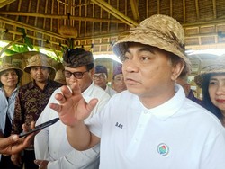 Wamendes Klaim Tak Ada Desa Miskin di Indonesia