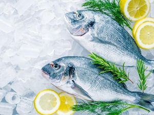 5 Kesalahan Menyimpan Ikan di Freezer yang Sering Dilakukan 5 Kesalahan Menyimpan Ikan di Freezer yang Sering Dilakukan