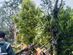 Alat Berat Terguling saat Hendak Bersihkan Material Longsor di Manggarai