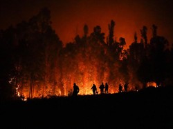 Pengertian Pemanasan Global, Begini Bedanya dengan Perubahan Iklim