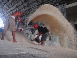 Kopdes Merah Putih Belum Tentu Bisa Gantikan Tengkulak