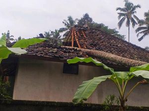 Puluhan Pohon Tumbang-2 Orang Terluka karena Angin Kencang Puluhan Pohon Tumbang-2 Orang Terluka karena Angin Kencang