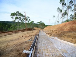 Cara Daftar Lowongan PPNPN Otorita IKN, Lengkap dengan Jadwal dan Syarat