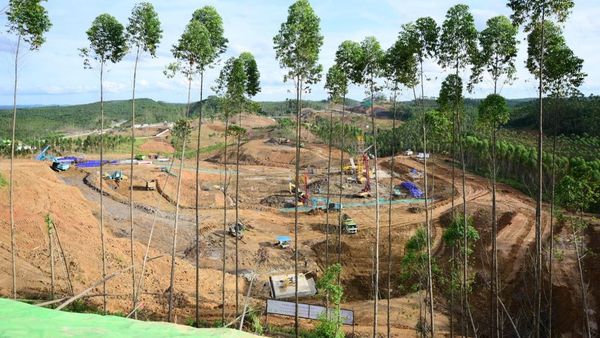 Progres Fisik Infrastruktur di IKN Capai 14%, Begini Penampakannya