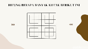 Bisa Tebak Ada Berapa Kotak? Bisa Jawab Semua Tandanya Kamu Teliti